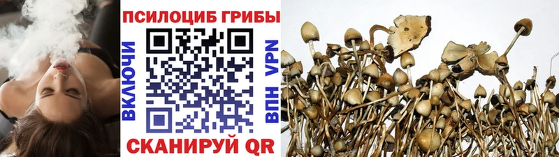 Галлюциногенные грибы MAGIC MUSHROOMS  Порхов 