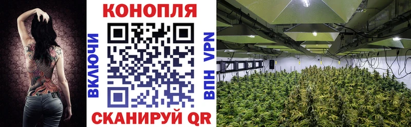 Каннабис план  наркотики  Порхов 